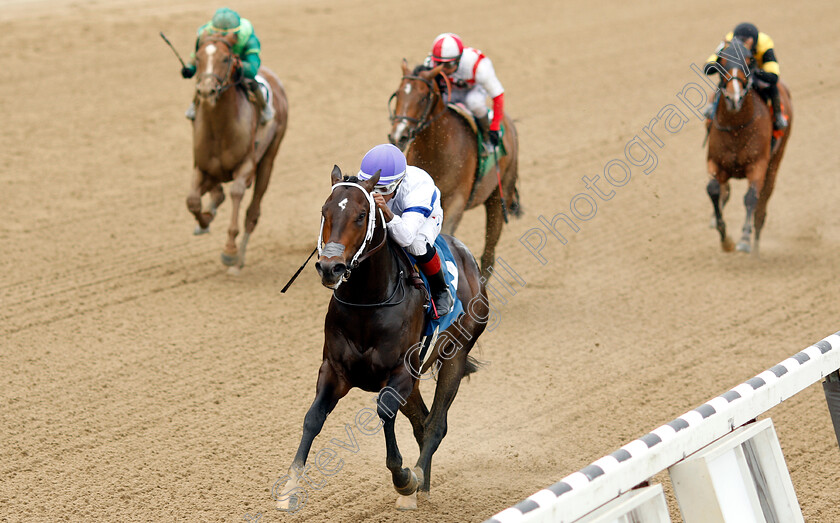 Double-Orb-0004 
 DOUBLE ORB (Ricardo Santana) wins Maiden
Belmont Park USA 7 Jun 2019 - Pic Steven Cargill / Racingfotos.com