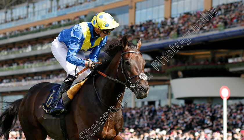 Poet s-Word-0010 
 POET'S WORD (James Doyle) wins The Prince Of Wales's Stakes 
Royal Ascot 20 Jun 2018 - Pic Steven Cargill / Racingfotos.com