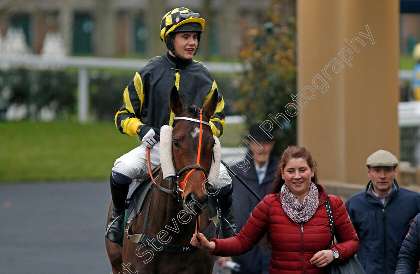 Golan-Fortune-0006 
 GOLAN FORTUNE (Daniel Sansom) after The Mitie Conditional Jockeys Handicap Hurdle Ascot 22 Dec 2017 - Pic Steven Cargill / Racingfotos.com