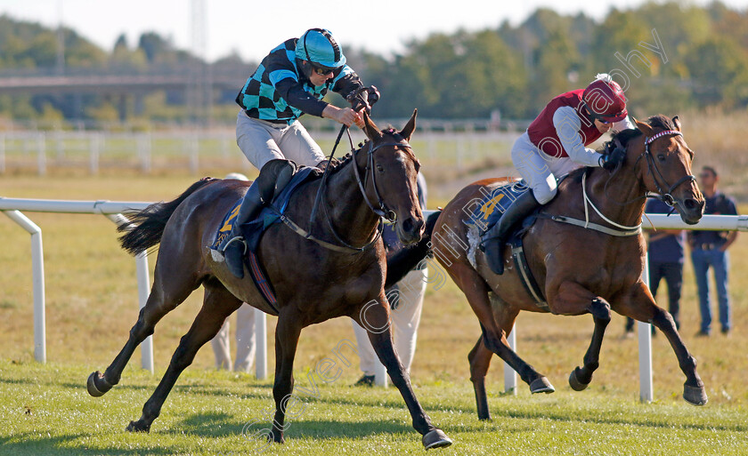 Mutadaffeq-0002 
 MUTADAFFEQ (farside, Niklas Loven) beats THREE IS COMPANY (nearside) in The H.M. Konungens Pris
Bro Park, Sweden , 15 Sep 2024 - Pic Steven Cargill / Racingfotos.com