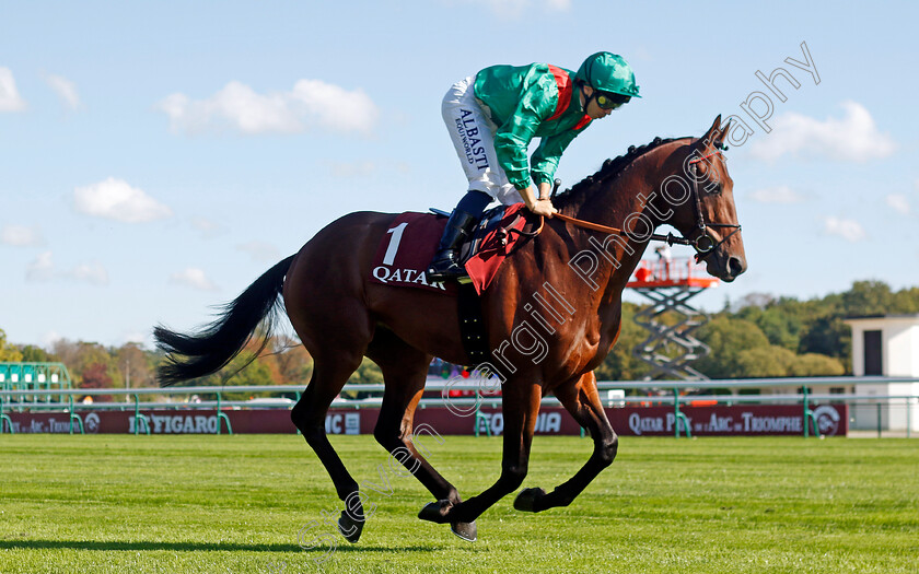 Shamarkand-0001 
 SHAMARKAND (Mickael Barzalona)
Longchamp 5 Oct 2024 - Pic Steven Cargill / Racingfotos.com