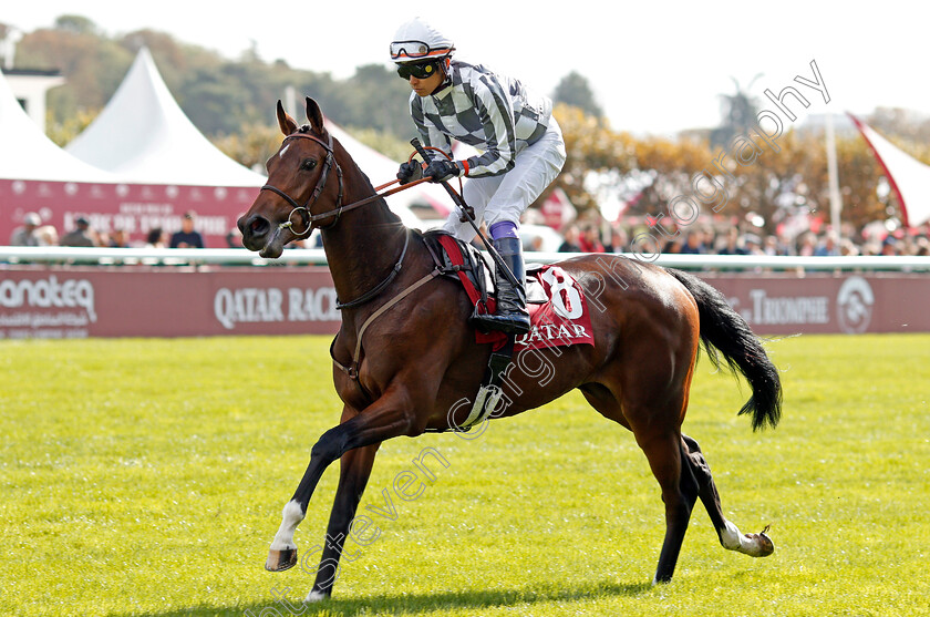 Savarin-0001 
 SAVARIN (Yutake Take)
Longchamp 6 Oct 2019 - Pic Steven Cargill / Racingfotos.com