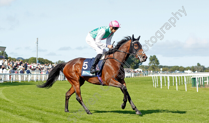 Brunnera-0001 
 BRUNNERA (Louis Steward)
Yarmouth 15 Sep 2021 - Pic Steven Cargill / Racingfotos.com