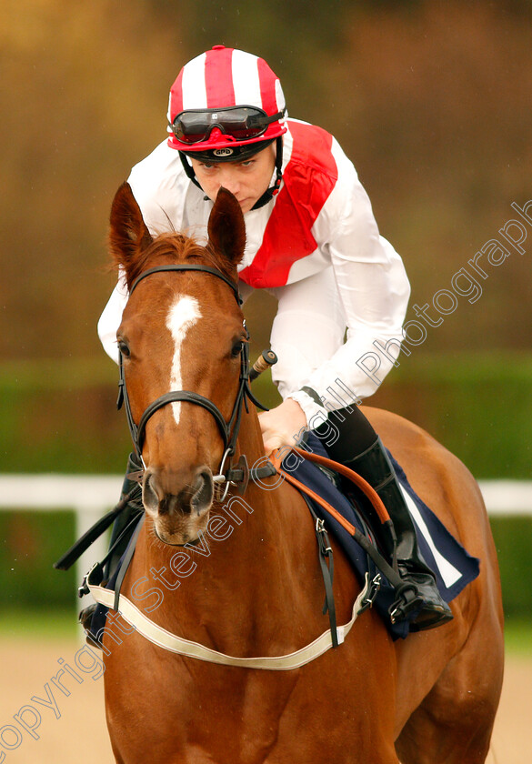 Social-Network-0001 
 SOCIAL NETWORK (Callum Shepherd)
Wolverhampton 28 Nov 2018 - Pic Steven Cargill / Racingfotos.com