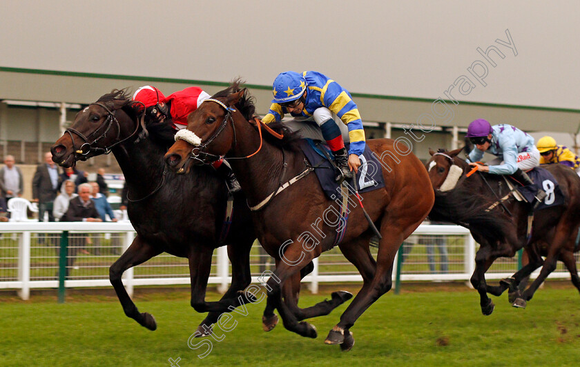 Kilbaha-Lady-0003 
 KILBAHA LADY (left, Lewis Edmunds) beats TITAN GODDESS (right) in The Great Yarmouth & Caister Golf Club Mechants Gallop Handicap Div2 Yarmouth 16 Oct 2017 - Pic Steven Cargill / Racingfotos.com