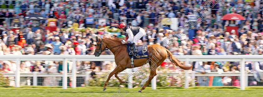 Kyprios-0005 
 KYPRIOS (Ryan Moore) winner of The Gold Cup
Royal Ascot 20 Jun 2024 - Pic Steven Cargill / Racingfotos.com