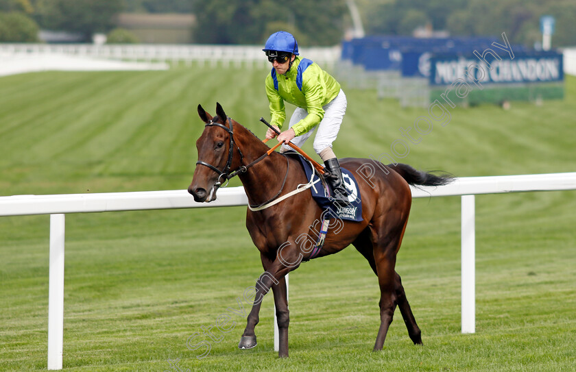 Individualism-0001 
 INDIVIDUALISM (Joe Fanning)
Ascot 26 Jul 2024 - Pic Steven Cargill / Racingfotos.com