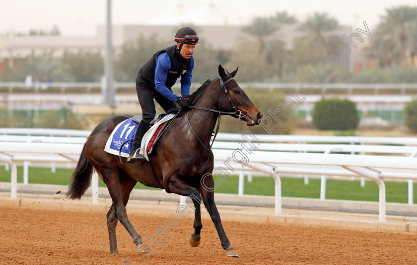 Matilda-Picotte-0002 
 MATILDA PICOTTE training for The 1351 Turf Sprint
King Abdulaziz Racetrack, Saudi Arabia 22 Feb 2024 - Pic Steven Cargill / Racingfotos.com