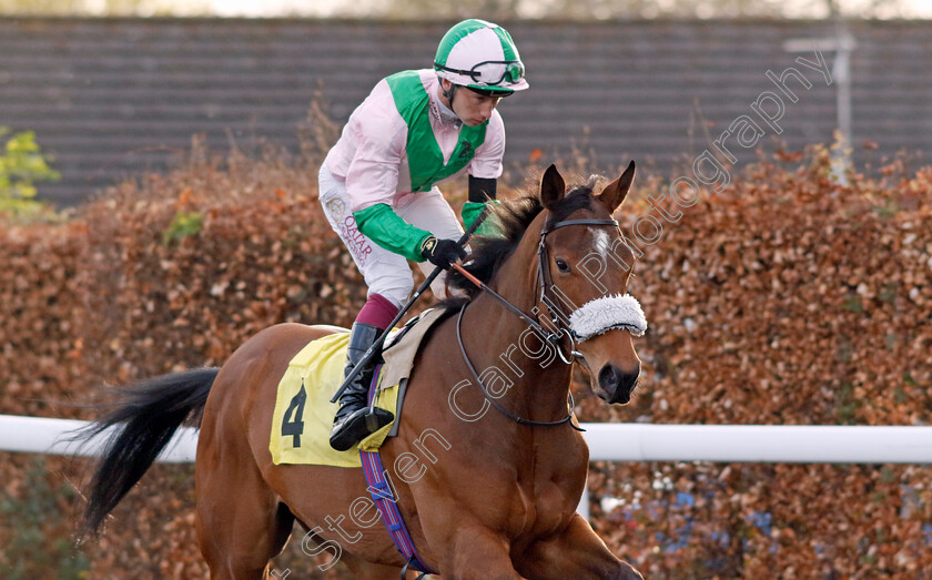 Celtic-Warrior-0008 
 CELTIC WARRIOR (Oisin Murphy) winner of The Additional Maiden Stakes
Kempton 3 Apr 2024 - Pic Steven Cargill / Racingfotos.com