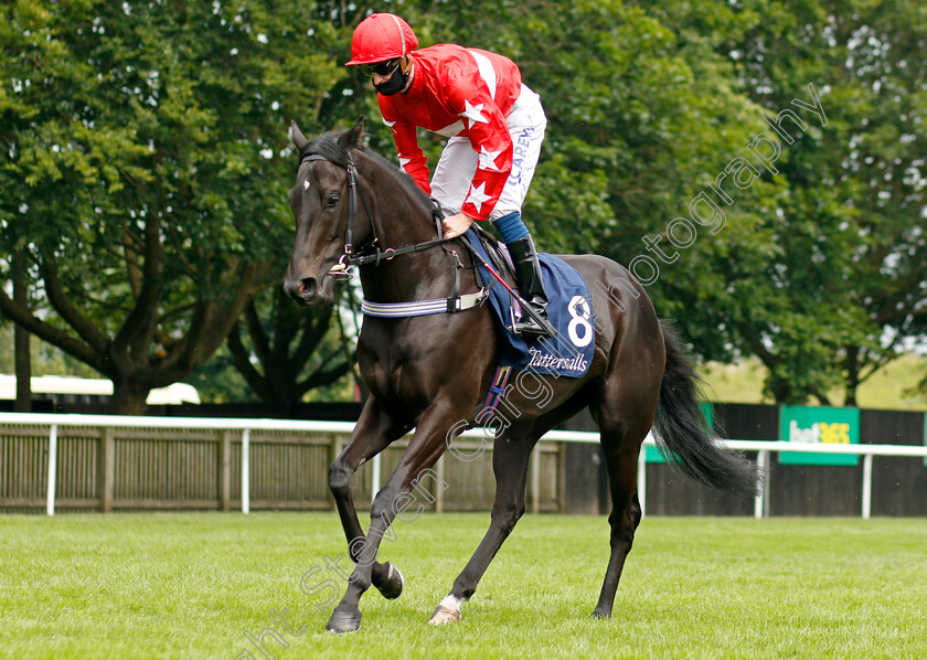 Just-Beautiful-0001 
 JUST BEAUTIFUL (Joey Haynes)
Newmarket 9 Jul 2021 - Pic Steven Cargill / Racingfotos.com