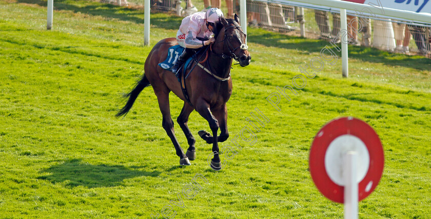 Another-Investment-0006 
 ANOTHER INVESTMENT (Jack Mitchell) wins The Irish Thoroughbred Marketing Handicap
York 16 Jun 2023 - Pic Steven Cargill / Racingfotos.com