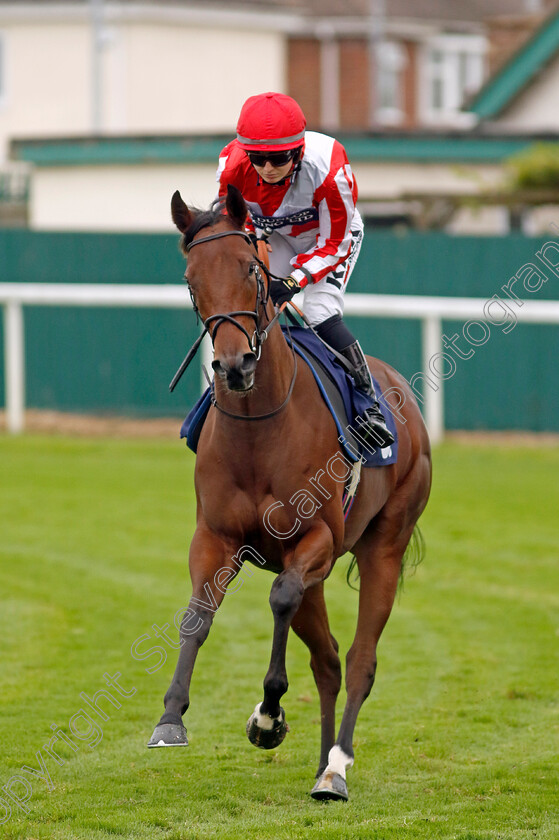 Another-Gift-0001 
 ANOTHER GIFT (Saffie Osborne)
Yarmouth 21 Sep 2023 - Pic Steven Cargill / Racingfotos.com