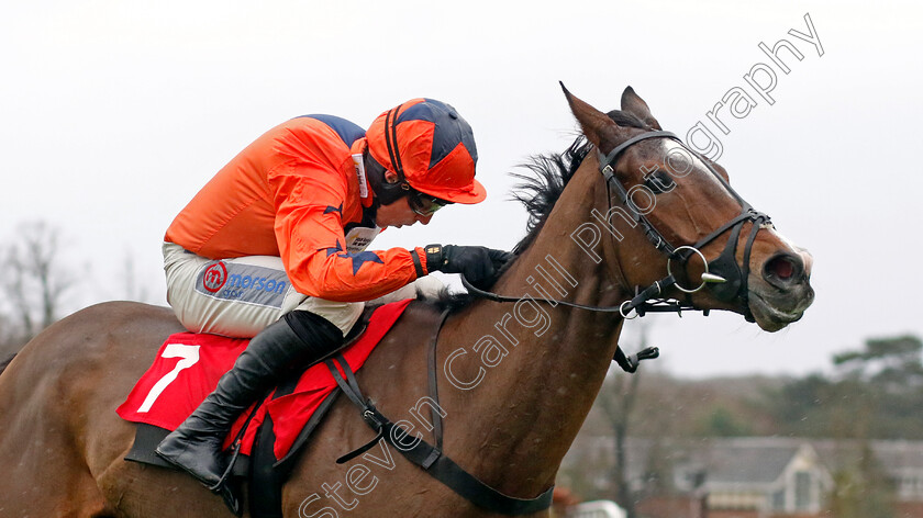 Honky-Tonk-Highway-0006 
 HONKY TONK HIGHWAY (Harry Skelton) wins The Betfair Exchange Claremont Novices Hurdle
Sandown 7 Dec 2024 - Pic Steven Cargill / Racingfotos.com