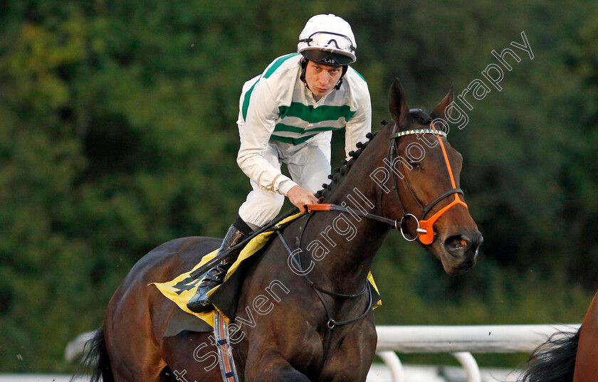 Heat-Of-Passion-0003 
 HEAT OF PASSION (Luke Morris)
Kempton 2 Oct 2024 - pic Steven Cargill / Racingfotos.com