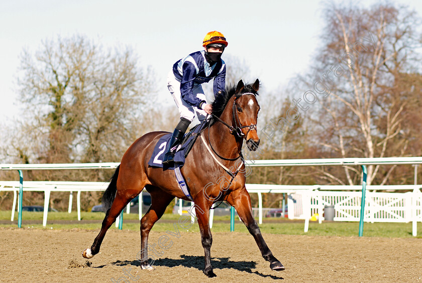 Percy-Willis-0002 
 PERCY WILLIS (Charles Bishop)
Lingfield 26 Feb 2021 - Pic Steven Cargill / Racingfotos.com