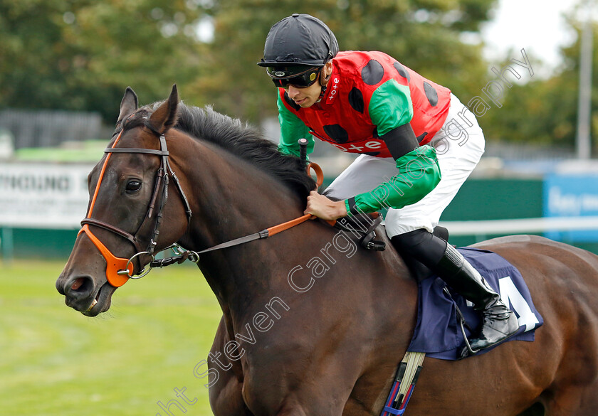 Chloellie-0001 
 CHLOELLIE (Louis Steward)
Yarmouth 14 Sep 2022 - Pic Steven Cargill / Racingfotos.com