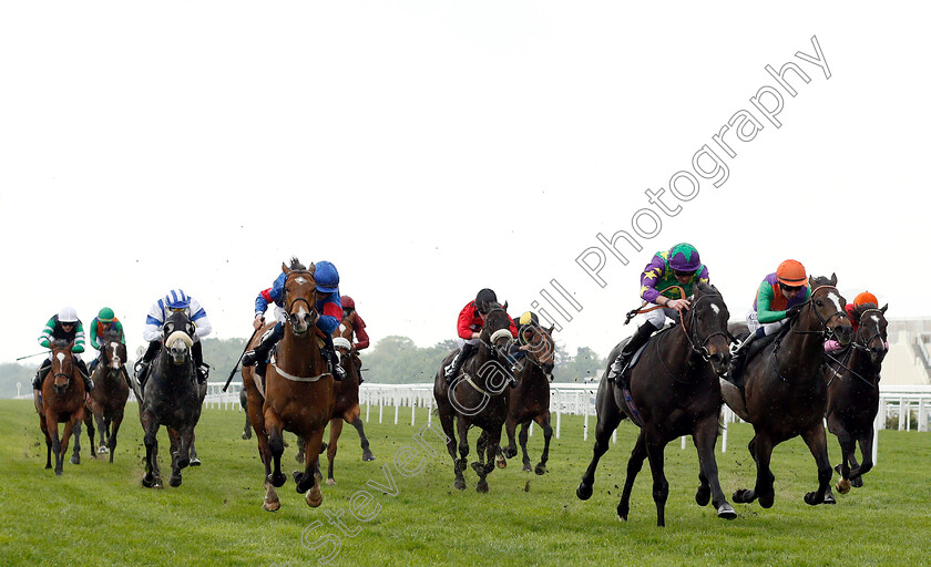 Burford-Brown-0001 
 BURFORD BROWN (2nd right, James Doyle) beats DASCHAS (right) and GNAAD (left) in The Ascot Supports Racing Charities Handicap
Ascot 1 May 2019 - Pic Steven Cargill / Racingfotos.com