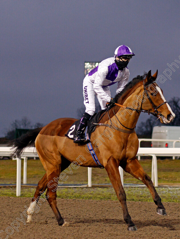 Morlaix-0001 
 MORLAIX (Jamie Spencer)
Chelmsford 14 Jan 2021 - Pic Steven Cargill / Racingfotos.com