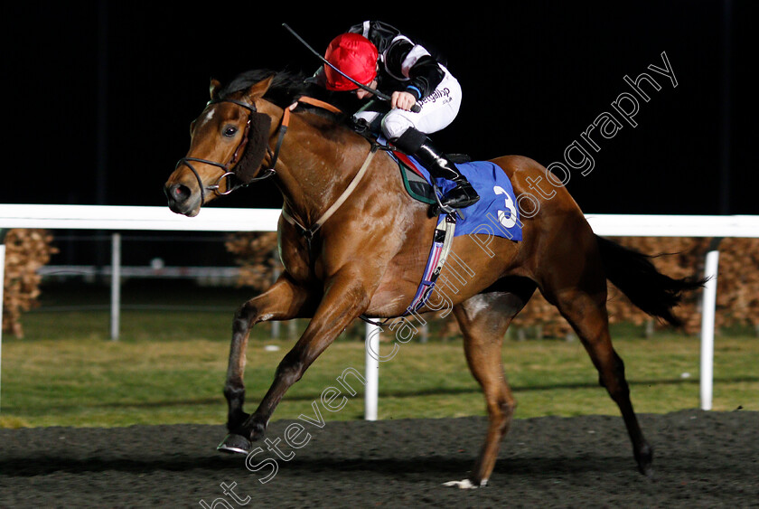 Herecomesthesun-0004 
 HERECOMESTHESUN (Edward Greatrex) wins The 100% Profit Boost At 32Redsport.com Novice Stakes Kempton 7 Mar 2018 - Pic Steven Cargill / Racingfotos.com