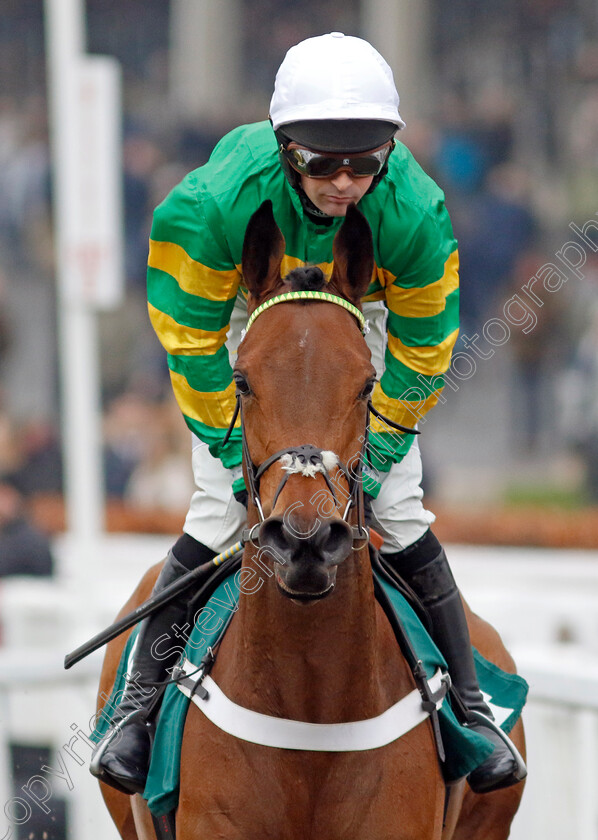 That s-Nice-0003 
 THAT'S NICE (Nico de Boinville)
Cheltenham 14 Dec 2024 - Pic Steven Cargill / Racingfotos.com