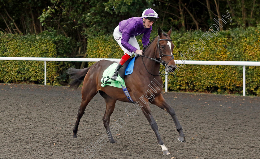 Manara-0001 
 MANARA (David Egan)
Kempton 2 Oct 2024 - pic Steven Cargill / Racingfotos.com