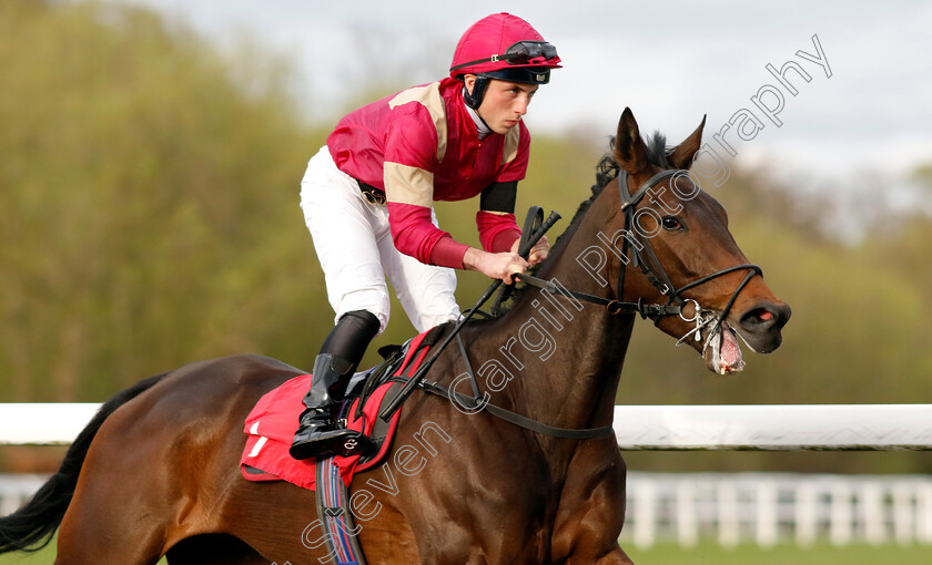 Principessa-0001 
 PRINCIPESSA (Frederick Larson)
Kempton 3 Apr 2024 - Pic Steven Cargill / Racingfotos.com