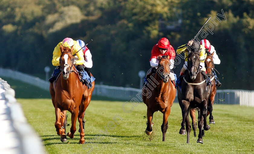 Naughty-Rascal-0002 
 NAUGHTY RASCAL (left, Tom Marquand) beats CHYNNA (right) in The Myddleton & Major Conditions Stakes
Salisbury 3 Oct 2018 - Pic Steven Cargill / Racingfotos.com