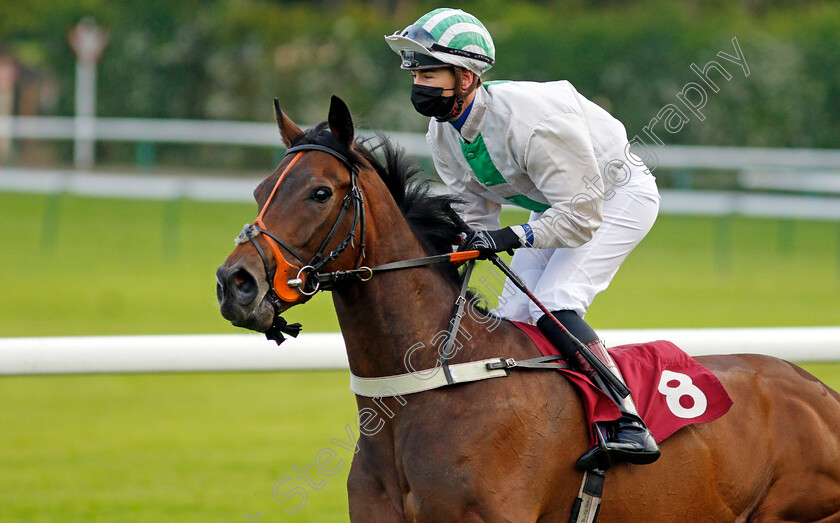 Red-Bravo-0001 
 RED BRAVO (Elisha Whittington)
Haydock 28 May 2021 - Pic Steven Cargill / Racingfotos.com