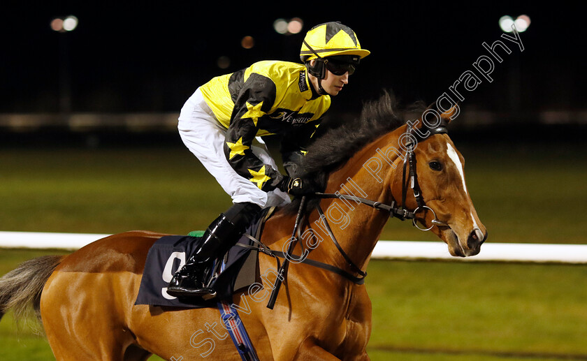 Warm-Glow-0004 
 WARM GLOW (Ross Coakley)
Wolverhampton 20 Dec 2024 - Pic Steven Cargill / Racingfotos.com