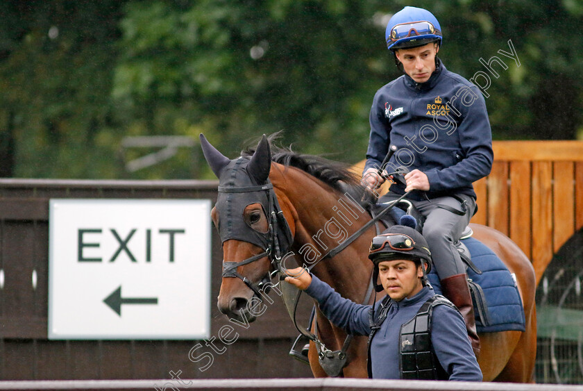 Emily-Upjohn-0001 
 EMILY UPJOHN (William Buick) preparing for racecourse gallop
Newmarket 1 Jul 2023 - Pic Steven Cargill / Racingfotos.com