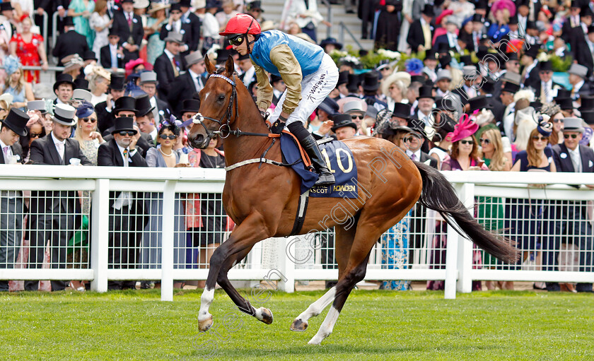 Shareholder-0006 
 SHAREHOLDER (James Doyle) winner of The Norfolk Stakes
Royal Ascot 20 Jun 2024 - Pic Steven Cargill / Racingfotos.com