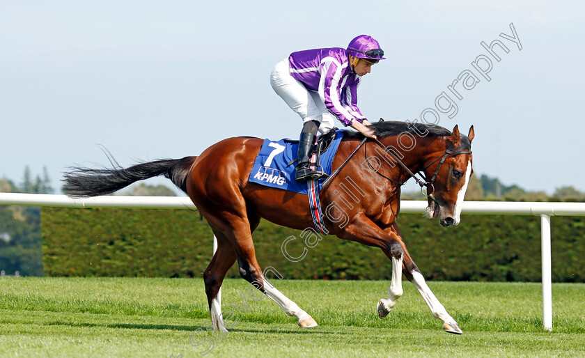 Diego-Velazquez-0008 
 DIEGO VELAZQUEZ (Ryan Moore) winner of The KPMG Champions Juvenile Stakes
Leopardstown 9 Sep 2023 - Pic Steven Cargill / Racingfotos.com