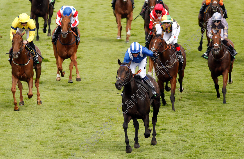 Khaadem-0011 
 KHAADEM (Jim Crowley) wins The Unibet Stewards Cup
Goodwood 3 Aug 2019 - Pic Steven Cargill / Racingfotos.com