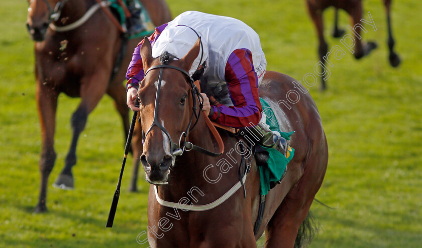 Laurens-0009 
 LAURENS (P J McDonald) wins The bet365 Fillies Mile Newmarket 13 Oct 2017 - Pic Steven Cargill / Racingfotos.com