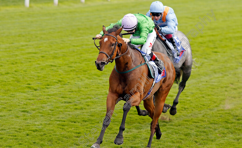 Breege-0003 
 BREEGE (Colin Keane) wins The Sky Bet City Of York Stakes
York 24 Aug 2024 - Pic Steven Cargill / Racingfotos.com