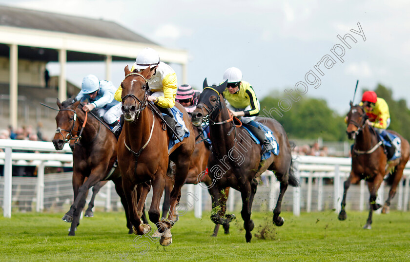 Kihavah-0002 
 KIHAVAH (Ryan Sexton) wins The Conundrum HR Consulting Handicap
York 11 May 2022 - Pic Steven Cargill / Racingfotos.com