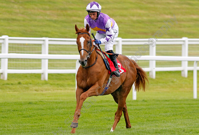 Stanhope-Gardens-0001 
 STANHOPE GARDENS (Rossa Ryan)
Sandown 25 Jul 2024 - Pic Steven Cargill / Racingfotos.com