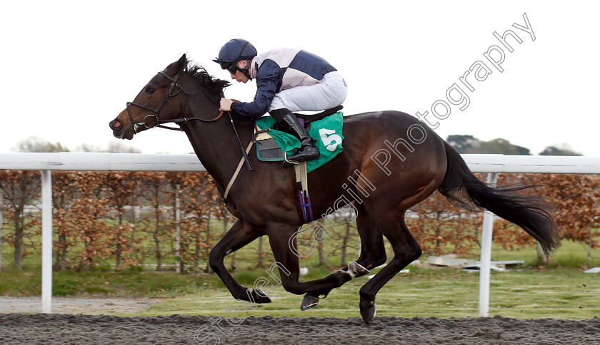 Lady-Kermit-0004 
 LADY KERMIT (Edward Greatrex) wins The 100% Profit Boost At 32redsport.com EBF FIllies Novice Stakes
Kempton 3 Apr 2019 - Pic Steven Cargill / Racingfotos.com