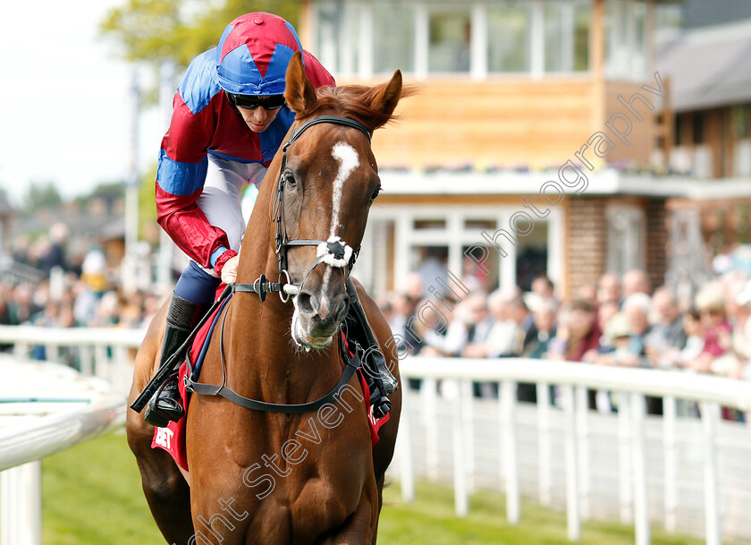 White-Mocha-0002 
 WHITE MOCHA (Jim Crowley)
York 17 May 2018 - Pic Steven Cargill / Racingfotos.com