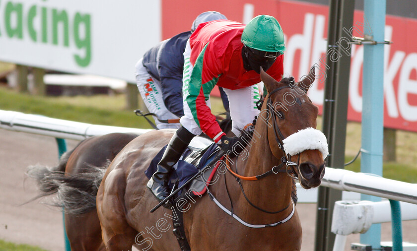 Endlessly-0007 
 ENDLESSLY (Jamie Spencer) wins The Betway Live Casino Maiden Stakes
Lingfield 2 Feb 2019 - Pic Steven Cargill / Racingfotos.com