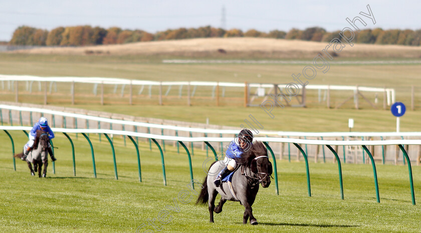 Briar-Smokey-Joe-0001 
 BRIAR SMOKEY JOE (Zac Kent) wins The Shetland Pony Grand National Flat Race
Newmarket 28 Sep 2018 - Pic Steven Cargill / Racingfotos.com