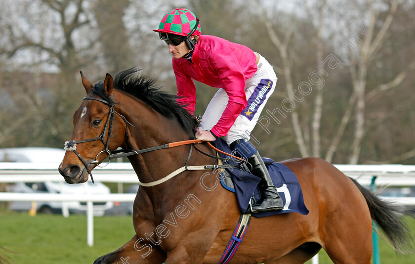 Roger-Henry-0001 
 ROGER HENRY (Daniel Muscutt)
Lingfield 7 Mar 2024 - Pic Steven Cargill / Racingfotos.com