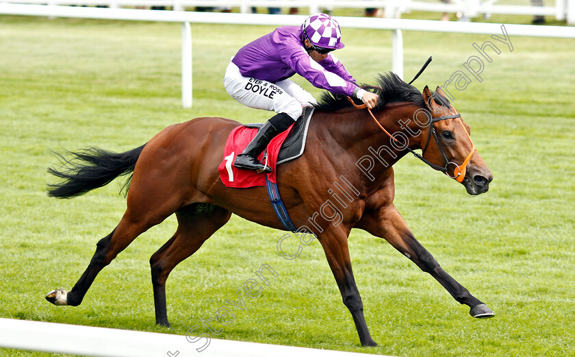 Ouzo-0004 
 OUZO (Sean Levey) wins The Follow @racingtv On Twitter Handicap
Sandown 14 Jun 2019 - Pic Steven Cargill / Racingfotos.com