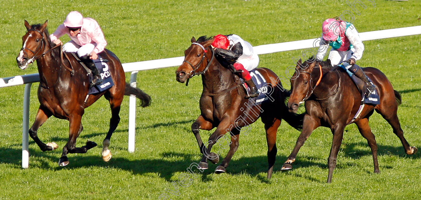 Star-Catcher-0001 
 STAR CATCHER (centre, Frankie Dettori) beats DELPHINIA (left) and SUN MAIDEN (right) in The Qipco British Champions Fillies & Mares Stakes
Ascot 19 Oct 2019 - Pic Steven Cargill / Racingfotos.com