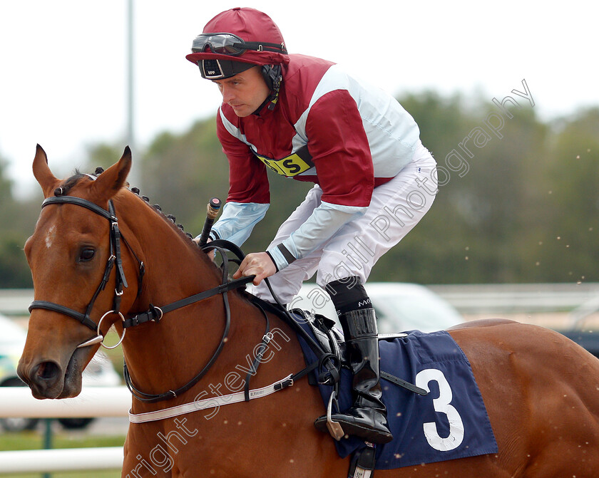 Bendy-Spirit-0001 
 BENDY SPIRIT (Tony Hamilton)
Southwell 29 Apr 2019 - Pic Steven Cargill / Racingfotos.com