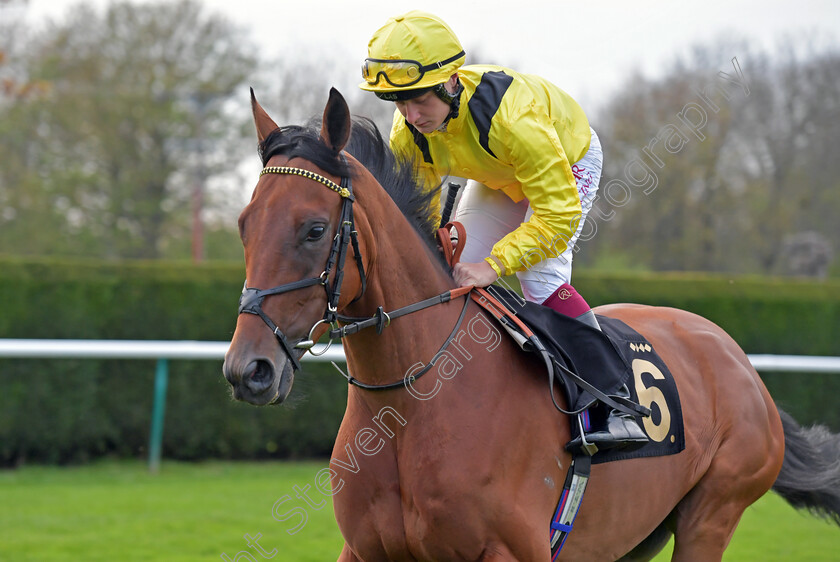 Tajanis-0002 
 TAJANIS (Cieren Fallon)
Nottingham 22 Apr 2023 - pic Steven Cargill / Becky Bailey / Racingfotos.com