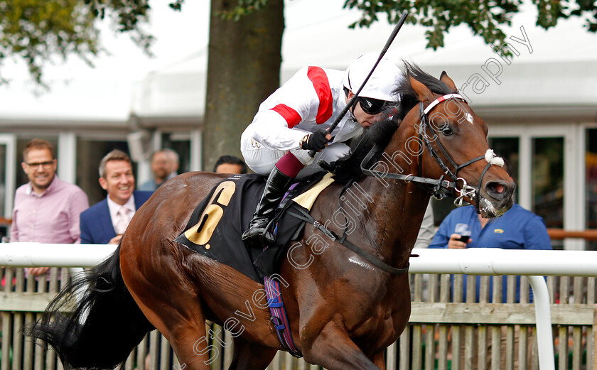 Neptune-Legend-0004 
 NEPTUNE LEGEND (Oisin Murphy) wins The Ian Angry Anderson Celebration Nursery
Newmarket 7 Aug 2021 - Pic Steven Cargill / Racingfotos.com