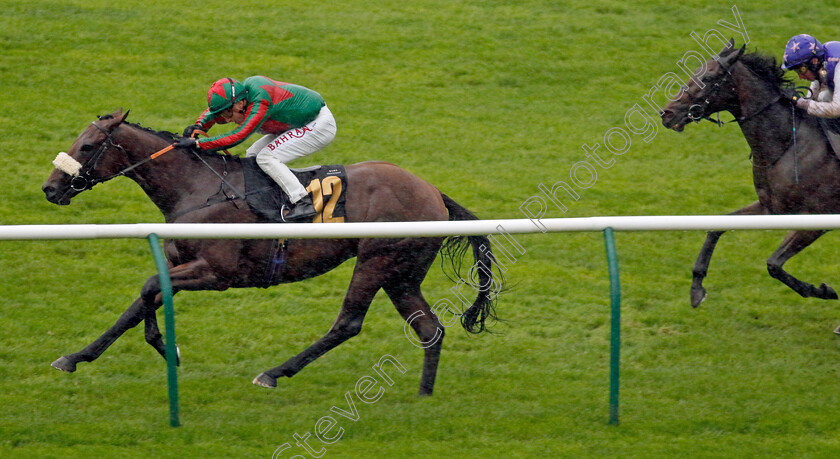 Terries-Royale-0001 
 TERRIES ROYALE (Tom Marquand) wins The Ultimate Provence Handicap
Newmarket 26 Sep 2024 - Pic Steven Cargill / Racingfotos.com