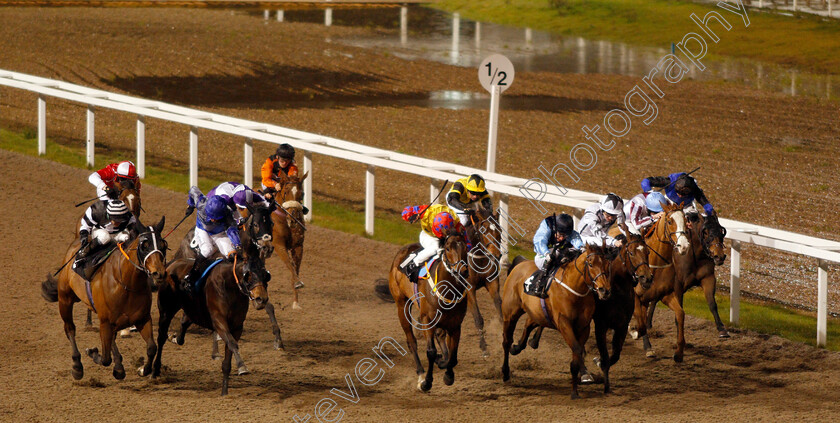 Samphire-Coast-0001 
 SAMPHIRE COAST (left, Ben Curtis) beats GLOBAL ART (2nd left) EXTRODINAIR (centre) and DIRECTORY (4th right) in The Bet totetrifecta At totesport.com Handicap
Chelmsford 28 Nov 2019 - Pic Steven Cargill / Racingfotos.com