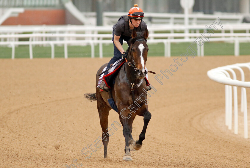 Roberto-Escobarr-0002 
 ROBERTO ESCOBARR training for The Dubai Gold Cup
Meydan Dubai 26 Mar 2024 - Pic Steven Cargill / Racingfotos.com